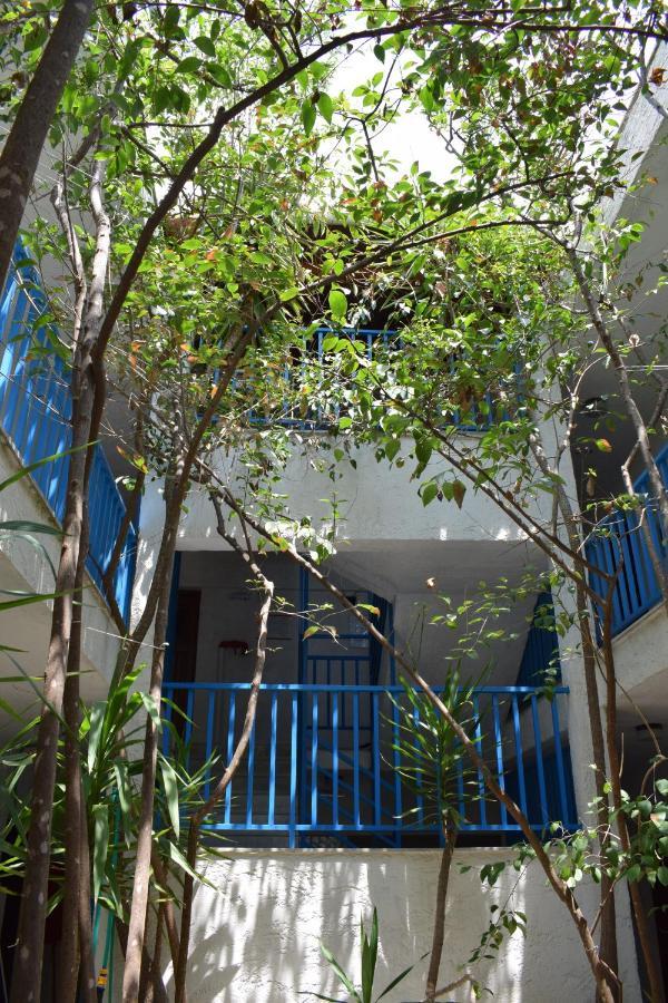Alexander Aparthotel Πευκοχώρι Εξωτερικό φωτογραφία