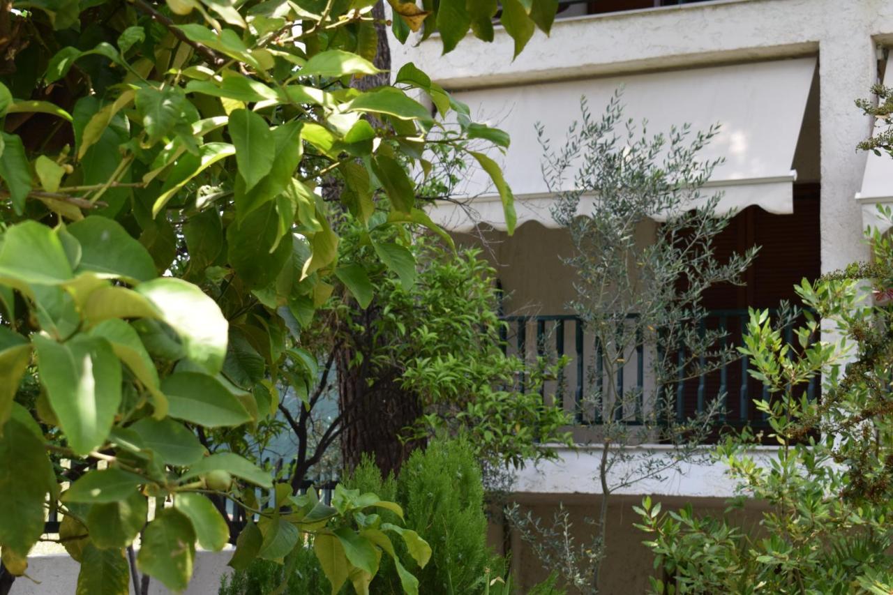 Alexander Aparthotel Πευκοχώρι Εξωτερικό φωτογραφία